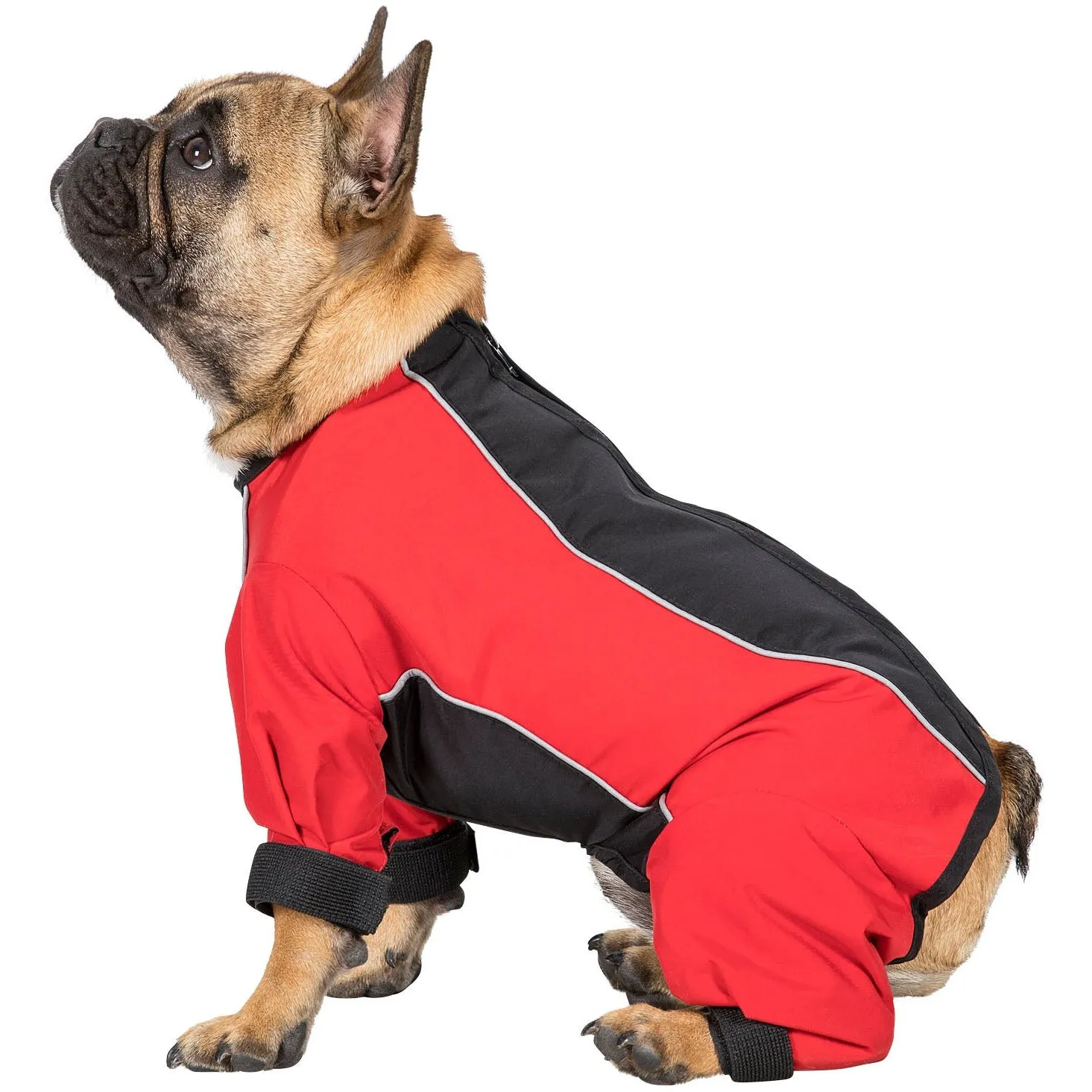 Tia - Dog Coat With Legs